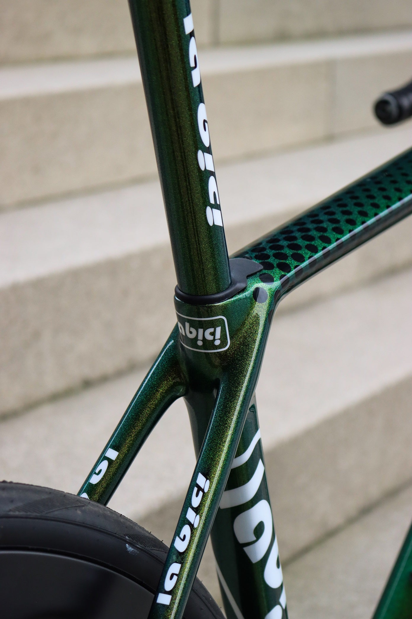 La Bici Endurance SL Custom Carbon Disc Frameset