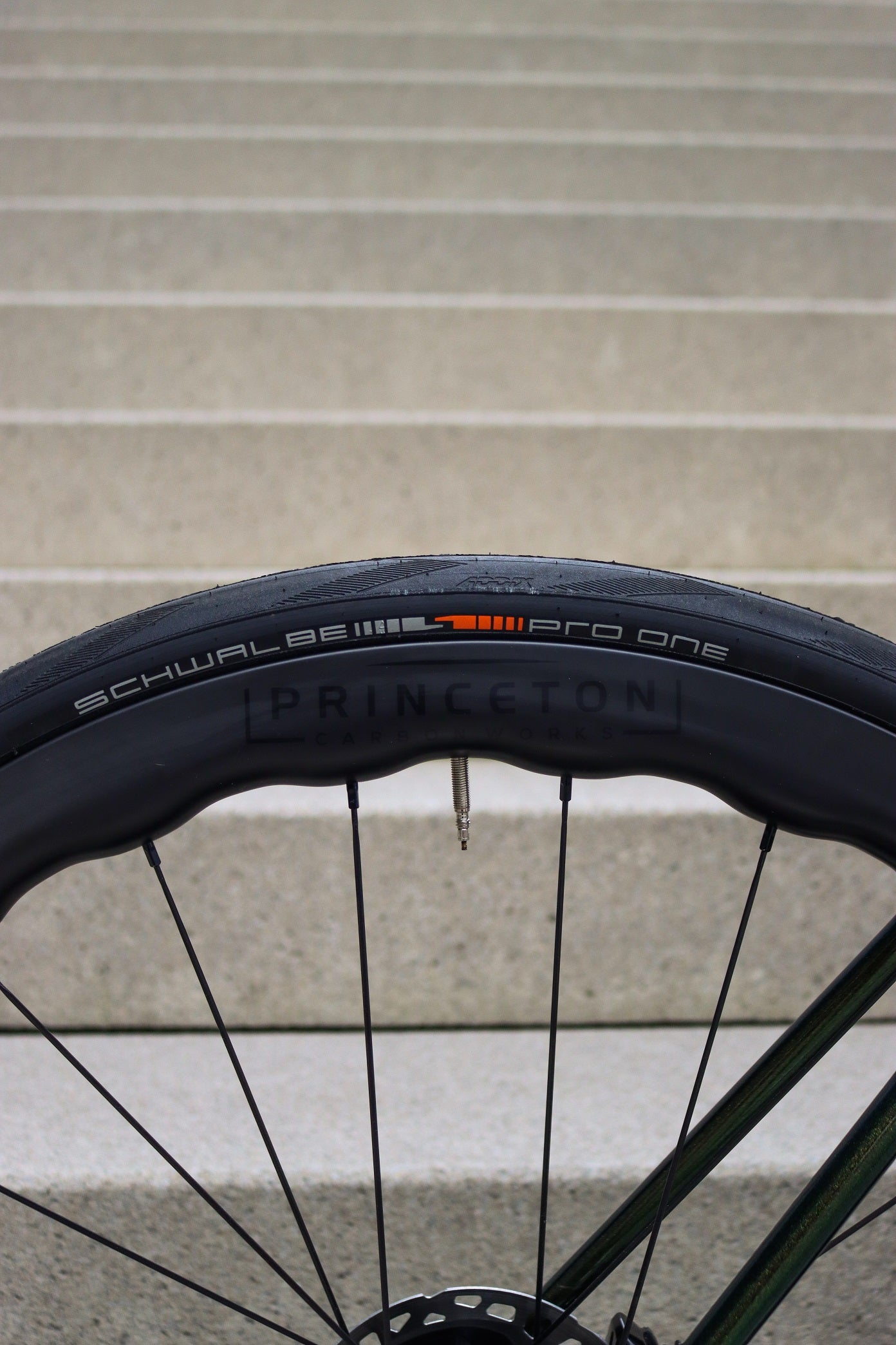 La Bici Endurance SL Custom Carbon Disc Frameset