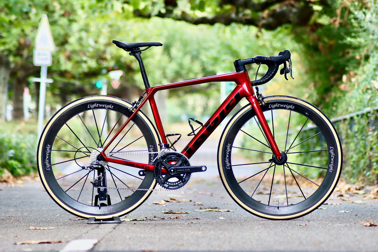 La Bici Endurance Rim SL Carbon Rahmenset