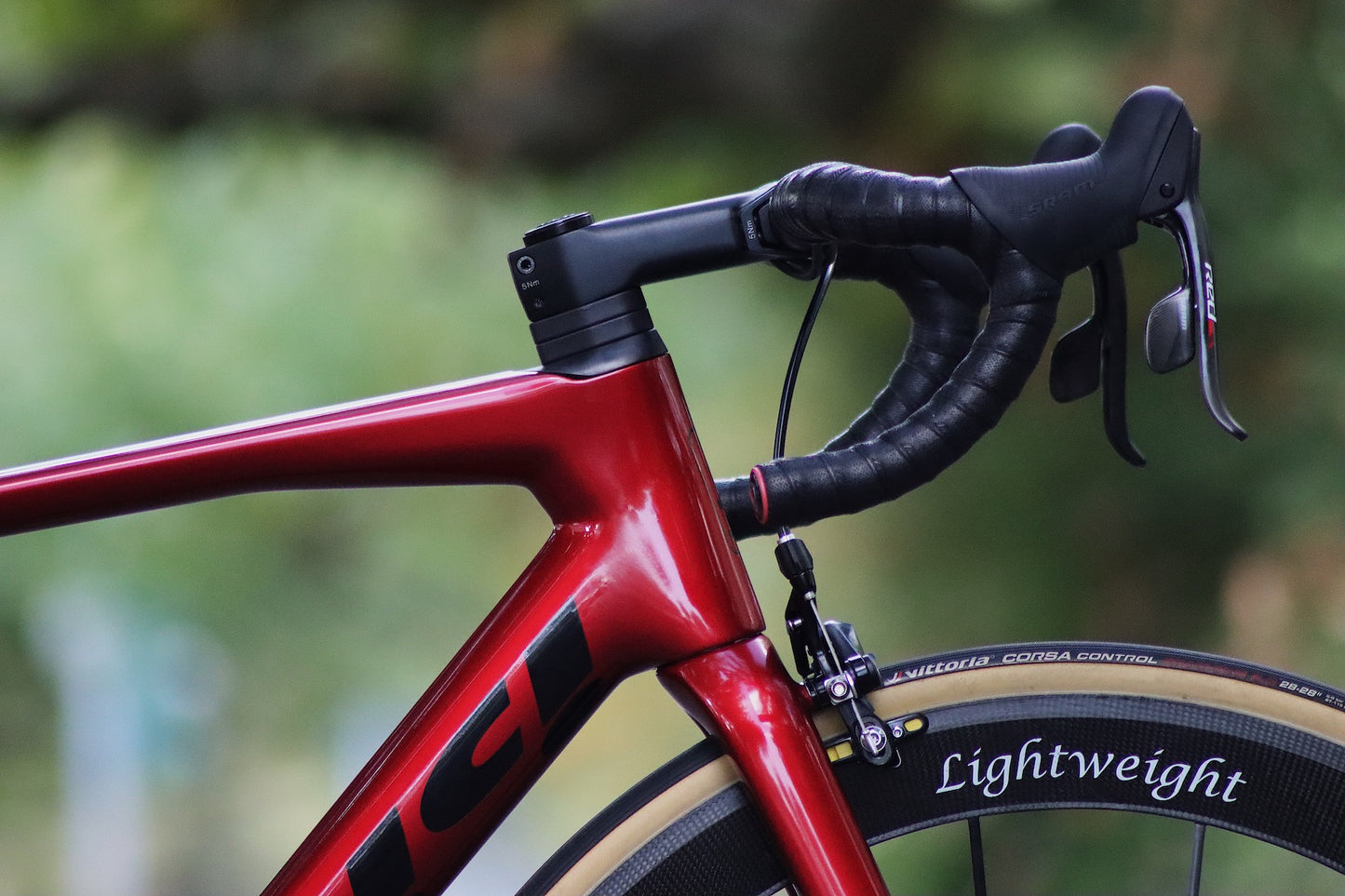 La Bici Endurance Rim SL Carbon Rahmenset